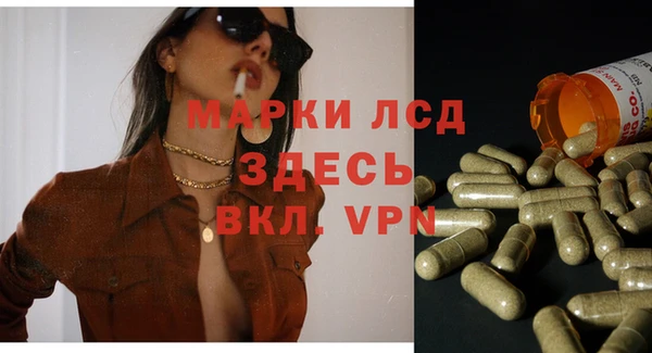СК Нея