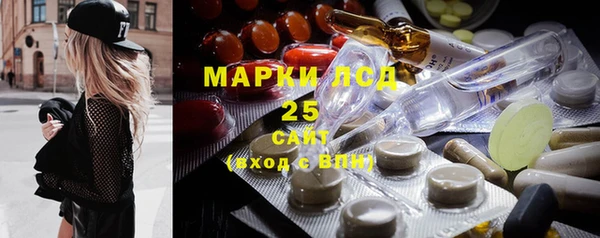 крисы Новодвинск