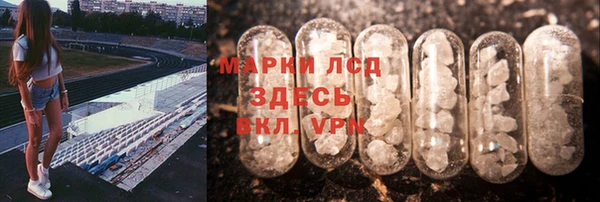 крисы Новодвинск