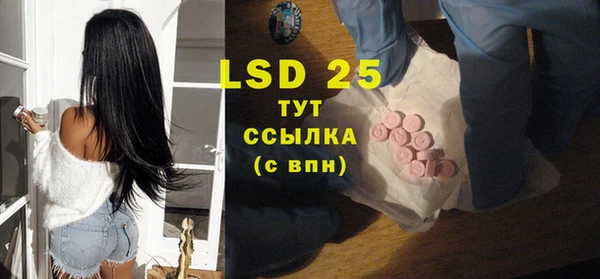 крисы Новодвинск